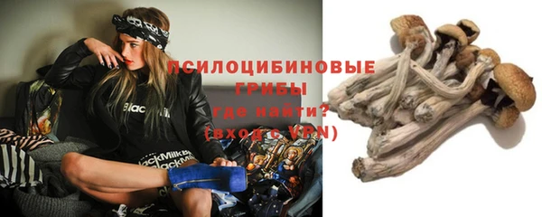 Альфа ПВП Мегион
