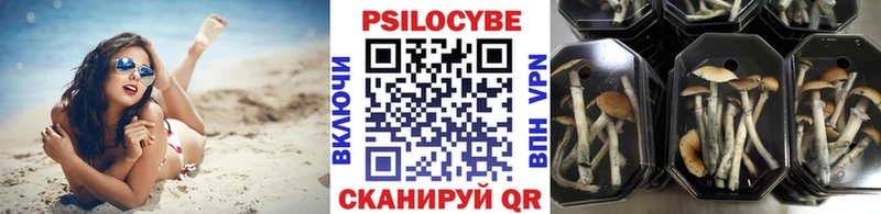 OMG маркетплейс Удомля Псилоцибиновые грибы MAGIC MUSHROOMS